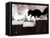 A Black Squirrel Leaps Along a Snow Covered Fence-null-Framed Stretched Canvas