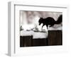 A Black Squirrel Leaps Along a Snow Covered Fence-null-Framed Photographic Print