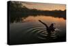 A Black Swan, Cygnus Atratus, Stretching at Sunrise in Ibirapuera Park-Alex Saberi-Stretched Canvas