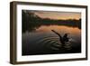 A Black Swan, Cygnus Atratus, Stretching at Sunrise in Ibirapuera Park-Alex Saberi-Framed Photographic Print