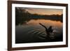 A Black Swan, Cygnus Atratus, Stretching at Sunrise in Ibirapuera Park-Alex Saberi-Framed Photographic Print