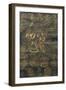 A Black Tibetan Thanka in Gold, Grey and Red Depicting Dharmapala, 19th Century-null-Framed Giclee Print