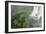 A Black Vulture, Coragyps Atratus, Resting on a Branch Near a Waterfall in Iguacu Falls-Alex Saberi-Framed Photographic Print