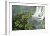 A Black Vulture, Coragyps Atratus, Resting on a Branch Near a Waterfall in Iguacu Falls-Alex Saberi-Framed Photographic Print