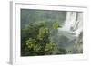 A Black Vulture, Coragyps Atratus, Resting on a Branch Near a Waterfall in Iguacu Falls-Alex Saberi-Framed Photographic Print