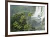 A Black Vulture, Coragyps Atratus, Resting on a Branch Near a Waterfall in Iguacu Falls-Alex Saberi-Framed Photographic Print