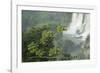 A Black Vulture, Coragyps Atratus, Resting on a Branch Near a Waterfall in Iguacu Falls-Alex Saberi-Framed Photographic Print