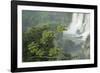 A Black Vulture, Coragyps Atratus, Resting on a Branch Near a Waterfall in Iguacu Falls-Alex Saberi-Framed Photographic Print