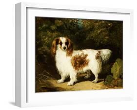 A Blenheim Cavalier King Charles Spaniel-H. Willis-Framed Giclee Print