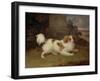 A Blenheim Spaniel, c.1820-30-William Webb-Framed Giclee Print