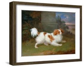 A Blenheim Spaniel-William Webb-Framed Giclee Print