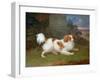 A Blenheim Spaniel-William Webb-Framed Giclee Print