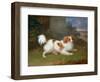 A Blenheim Spaniel-William Webb-Framed Giclee Print