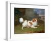 A Blenheim Spaniel-William Webb-Framed Giclee Print