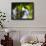 A Blond-Crested Woodpecker, Celeus Flavescens, Pecks a Tree by Iguazu Falls-Alex Saberi-Framed Photographic Print displayed on a wall