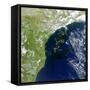 A Bloom of Microscopic Organisms Off the Coast of Brazil-null-Framed Stretched Canvas