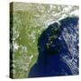 A Bloom of Microscopic Organisms Off the Coast of Brazil-null-Stretched Canvas