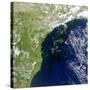 A Bloom of Microscopic Organisms Off the Coast of Brazil-null-Stretched Canvas