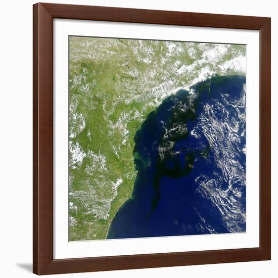 A Bloom of Microscopic Organisms Off the Coast of Brazil-null-Framed Photographic Print