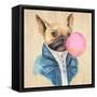 A Blowing Bubble French Bulldog-Jin Jing-Framed Stretched Canvas