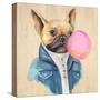 A Blowing Bubble French Bulldog-Jin Jing-Stretched Canvas