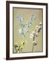 A Blue and a Lavender Hyacinth, and a Yellow Narcissus, C.1805-Jean-Louis Prevost-Framed Giclee Print