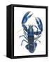 A Blue Lobster-Isabelle Brent-Framed Stretched Canvas