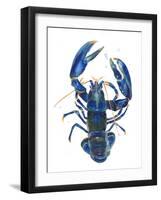 A Blue Lobster-Isabelle Brent-Framed Photographic Print