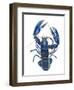 A Blue Lobster-Isabelle Brent-Framed Photographic Print