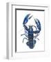 A Blue Lobster-Isabelle Brent-Framed Photographic Print