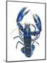 A Blue Lobster-Isabelle Brent-Mounted Photographic Print