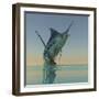 A Blue Marlin Bursts from the Ocean Surface in a Grand Leap-Stocktrek Images-Framed Photographic Print