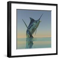 A Blue Marlin Bursts from the Ocean Surface in a Grand Leap-Stocktrek Images-Framed Photographic Print