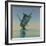 A Blue Marlin Bursts from the Ocean Surface in a Grand Leap-Stocktrek Images-Framed Photographic Print