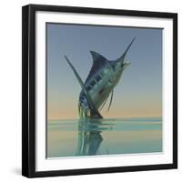 A Blue Marlin Bursts from the Ocean Surface in a Grand Leap-Stocktrek Images-Framed Photographic Print