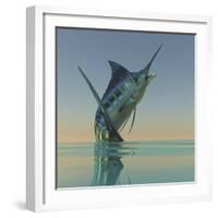 A Blue Marlin Bursts from the Ocean Surface in a Grand Leap-Stocktrek Images-Framed Photographic Print