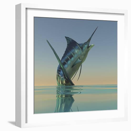 A Blue Marlin Bursts from the Ocean Surface in a Grand Leap-Stocktrek Images-Framed Photographic Print