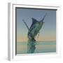 A Blue Marlin Bursts from the Ocean Surface in a Grand Leap-Stocktrek Images-Framed Photographic Print