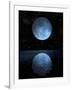 A Blue Moon Rising over a Calm Alien Ocean with a Starry Sky as a Backdrop-null-Framed Art Print