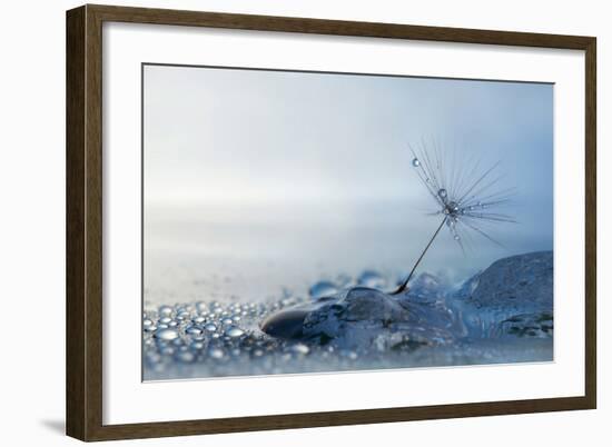 A Blue Morning-null-Framed Premium Giclee Print