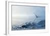 A Blue Morning-null-Framed Premium Giclee Print