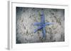 A Blue Starfish on the Sandy Seafloor Near Alor, Indonesia-Stocktrek Images-Framed Photographic Print