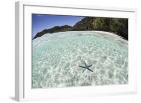 A Blue Starfish on the Seafloor of Raja Ampat, Indonesia-Stocktrek Images-Framed Photographic Print