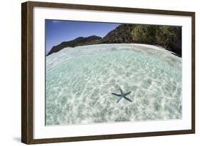 A Blue Starfish on the Seafloor of Raja Ampat, Indonesia-Stocktrek Images-Framed Photographic Print