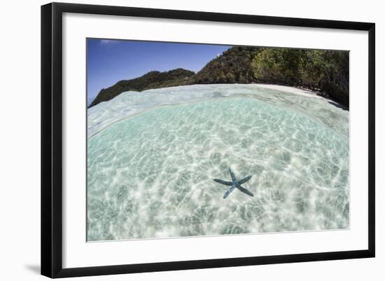 A Blue Starfish on the Seafloor of Raja Ampat, Indonesia-Stocktrek Images-Framed Photographic Print