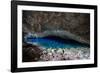 A Blue Underground Lake in Grotto Azul Cave System, Bonito, Brazil-Alex Saberi-Framed Photographic Print