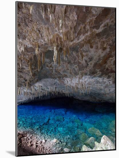 A Blue Underground Lake in Grotto Azul Cave System, Bonito, Brazil-Alex Saberi-Mounted Premium Photographic Print