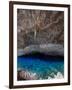 A Blue Underground Lake in Grotto Azul Cave System, Bonito, Brazil-Alex Saberi-Framed Photographic Print