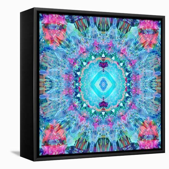 A Blue Water Mandala from Flower Photographs-Alaya Gadeh-Framed Stretched Canvas