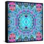 A Blue Water Mandala from Flower Photographs-Alaya Gadeh-Framed Stretched Canvas